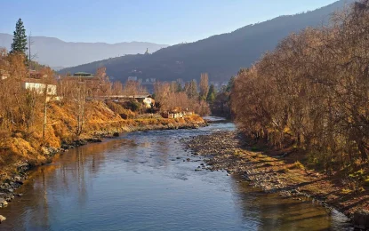 How to Travel to Bhutan: Everything You Need to Know (2025)