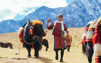 Bhutan Travel Costs: How Much Does a Trip Really Cost?