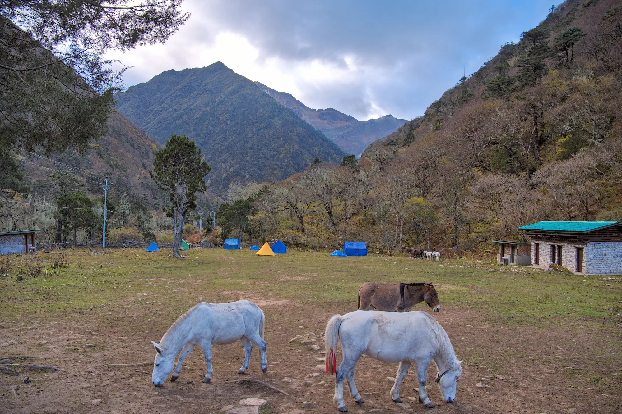 Trekkers on a trail in the Bhutan Himalaya